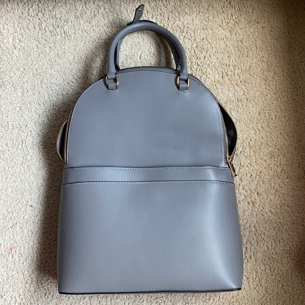 Backpack that can also be carried as a purse